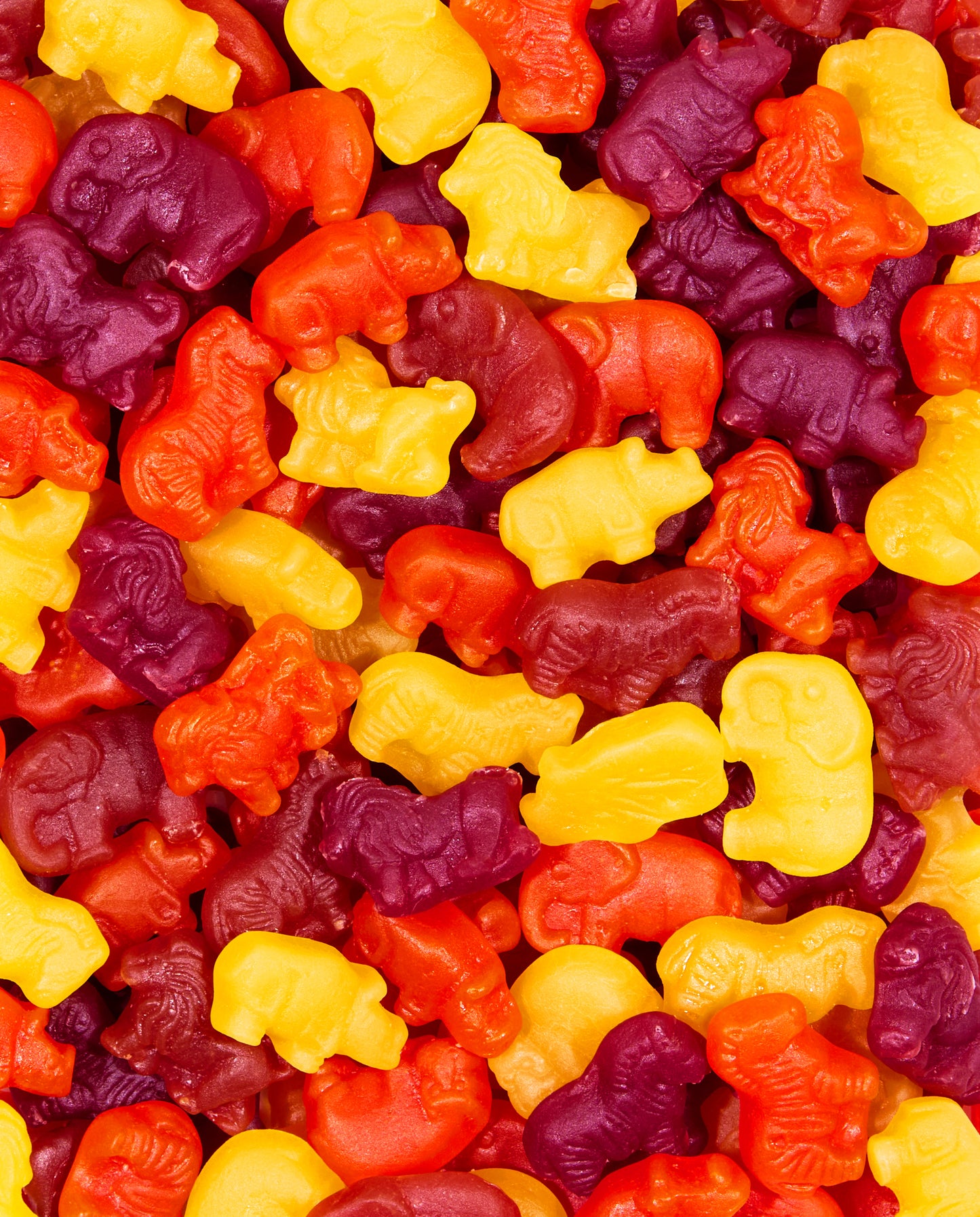 Fruity Gummy Zoo Animals Bulk Bag